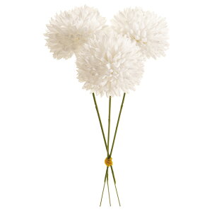 菊 生花の人気商品 通販 価格比較 価格 Com