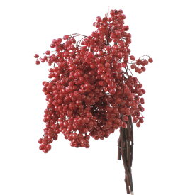 ドライフラワー 花材 ペッパーベリー プリザーブド レッド　赤　レジン ハーバリウム アロマワックスサシェ　サシェ　花材　素材 実 約55g 大地農園