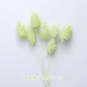 yzhCt[ ԍ |Avc hCt[ Wpԍ hC ޗ f n[oE@ԁ@ ANZT[ Wf Ntg  nhCh