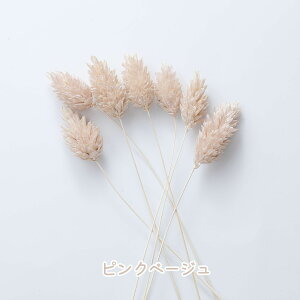 yzhCt[ ԍ |Avc hCt[ Wpԍ hC ޗ f n[oE@ԁ@ ANZT[ Wf Ntg  nhCh