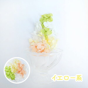 hCt[ ԍ   4FZbg   W n[oE A}bNX nhCh vU[uht[ Zbg u[ sN p[v AWTC 