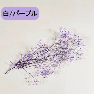  hCt[ \tg~jJX~ t[x[ O[/u[ vU[uht[ n[oE W CeA [X nhCh ݑ f n_ ԍ 