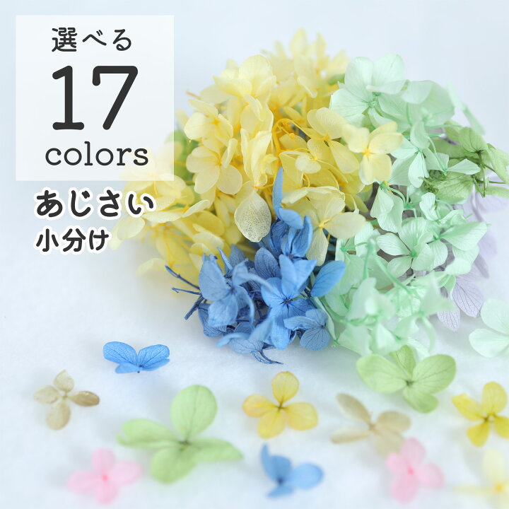 楽天市場】【封入花材】 小分け あじさい ドライフラワー 17色 展開 