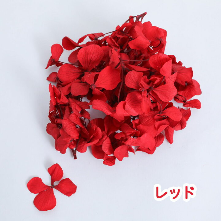 楽天市場】【封入花材】 小分け あじさい ドライフラワー 17色 展開 