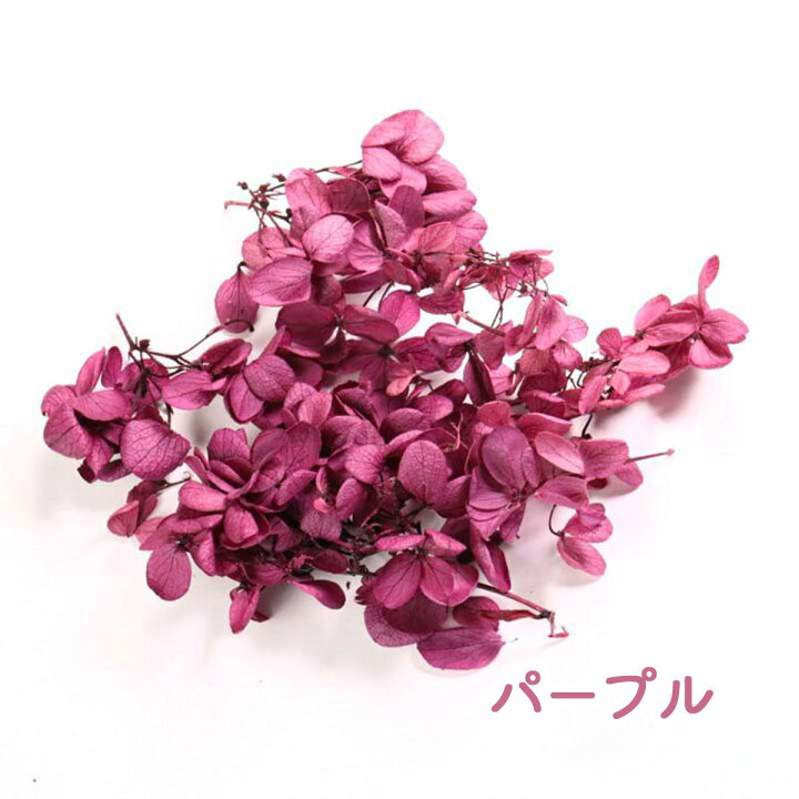 楽天市場】【封入花材】 小分け あじさい ドライフラワー 17色 展開 
