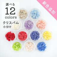 【ドライフラワー レジン封入】小分け クリスパム 花材【全12色】 レジン封入素材 材料 素材 ガラスドー…