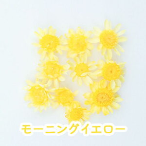 yyVX[p[SALEz hCt[ ԍ X^[t[ ubT 23F  Ԃт Wf g؂₷  lCi WANZT[ nhCh  VRf p