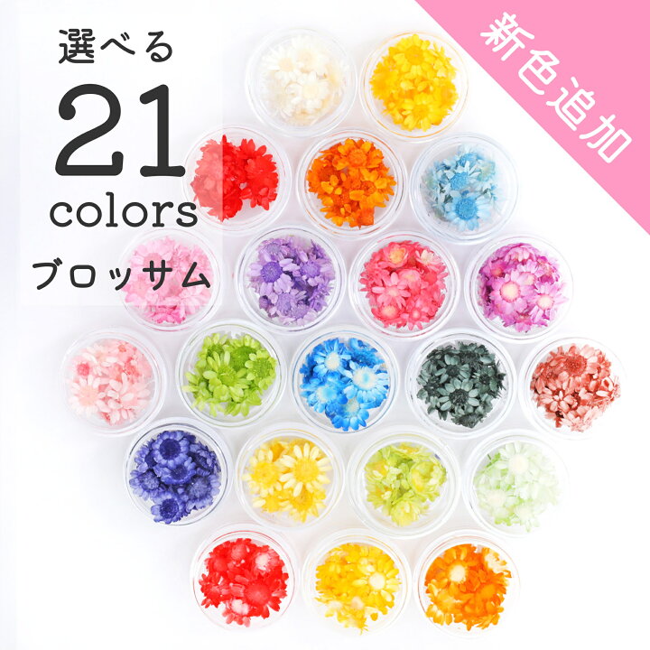 楽天市場】【花材】スターフラワー ブロッサム 21色 小分け ドライ  