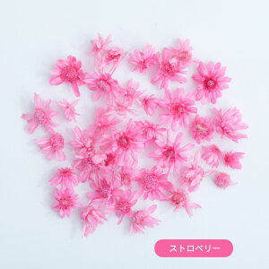 hCt[ ԍ  X^[t[ }ZhC W ԍ Wpԍ hC ޗ f n[oE n[oE{[y   ANZT[ W