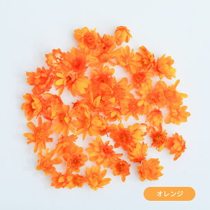 hCt[ ԍ  X^[t[ }ZhC W ԍ Wpԍ hC ޗ f n[oE n[oE{[y   ANZT[ W