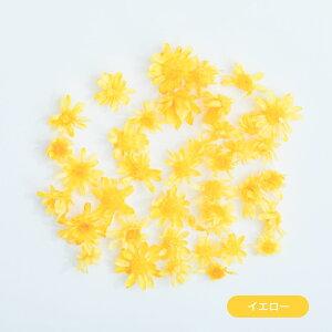 hCt[ ԍ  X^[t[ }ZhC W ԍ Wpԍ hC ޗ f n[oE n[oE{[y   ANZT[ W