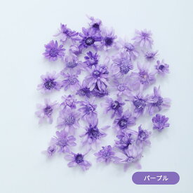 ドライフラワー 花材 小分け スターフラワー マルセラドライ レジン 封入花材 レジン用花材 ドライ 材料 素材 ハーバリウム ハーバリウムボールペン 小さいお花 少量 アクセサリー レジン封入素材 ネイル素材 封入パーツ ジェルネイル 白 ネイルフラワー