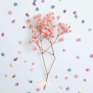 yz AeB[NvUEJX~ ݑ n_ u[ sN p[v CbN  f W ANZT[ L[z_[ nhCh CeA Ntg  