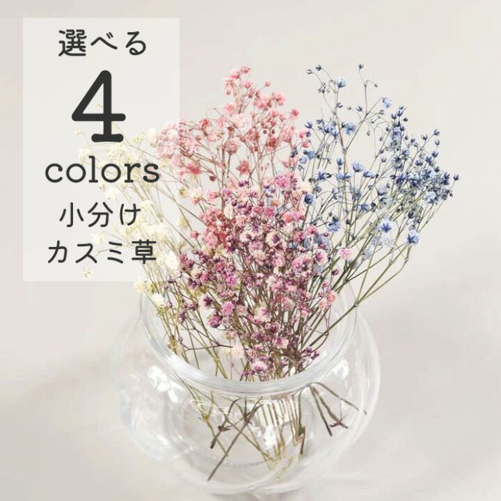 楽天市場】アフターセール特価【花材】アンティークプリザ カスミ草 