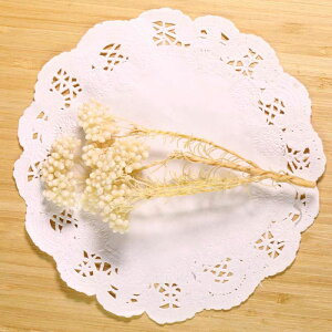 yԍށzhCt[ w CXt[ x g؂₷  W XbO [X u[P A}TVF Lh f   n[oE WANZT[ n