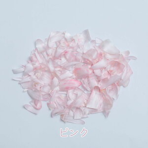 yyVX[p[SALEz hCt[ ԍ NbVt[  g؂₷  W n[oE f  Jt W WNtg ANZT[ n