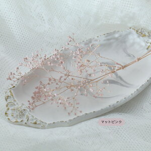 yzIyVX[p[SALEz yzX[p[\tg~jݑ }bg 3 n_ nhCh W n[oE  W f JX~\E TVF ANZT