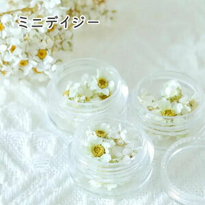 yhCt[z ~jfCW[ zCg fCW[ f ԍ nhCh WANZT[   WNtg ̃W L[z_[ L[z_[p[c p[