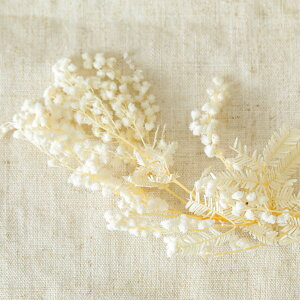 yhCt[ ԍ z  ItzCg ~U AJVA i` f ԍ ~f nhCh vU[uht[ NX}X t[Ntg f  WA