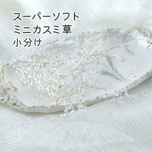  X[p[\tg~jJX~ ݑ }bgzCg n_ ~F  ~i Ȃ f W t[AWg XbO nhCh |  ԍ