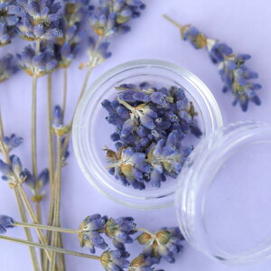 yԍ zx_[ P[X背W  J[ p[v  l t[ WNtg AW n[oE A}bNX  Lht[ f VF N[ 