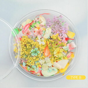 yyVX[p[SALEz yhCt[ Wz[Xt[ MIX Ԃт  ~`P[X 4 W  f ޗ VRf nhCh | WANZT[ nh