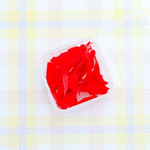 yyVX[p[SALEz yԍށzJ[l[V Ԃт P[X vU[uht[  3F W n[oE f  t[ ЂЂ t WNtg nhC