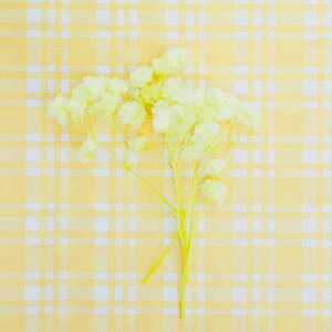 yzwJX~EI[o[^CxzCg tbVO[ ݑ n_ hCt[ Wpԍ hC ޗ f n[oE@ԁ@ ANZT[ 