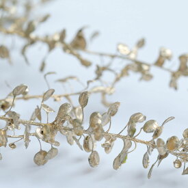 【小分け】プリザーブドフラワー 花材 ペティーコート グリーン 封入素材 少量 ドライフラワー ハンドメイド 花材 封入 天然素材 スワッグ リース パーツ 材料 素材 ハーバリウム 小さいお花 ネイル素材 大地農園 花びら 小花