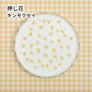 hCt[ ԍށy14z LNZC ؍  ԍ W W f ؂₩ f   wANbv p[c Ԃт n[oE nhCh ANZ