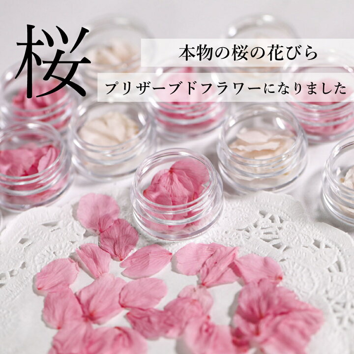 楽天市場 New さくら 花びら ドライフラワー プリザーブド加工 花材 素材 レジン レジン封入 パーツ 桜 花びら ハーバリウム プリザーブド フラワー 本物 春 ハンドメイド アクセサリー素材 国産 南原農園 Flower Parts Shop