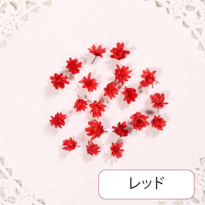 楽天市場】花材 小分け スターフラワー マルセラドライ レジン ドライフラワー レジン用花材 ドライ 材料 素材 ハーバリウム 小さいお花 少量 レジン封入素材 ネイル素材 【新色追加】 : croccha shop 楽天市場店 楽天市場】花材 小分け スターフラワー マルセラドライ レジン ドライフラワー レジン用花材 ドライ 材料 素材 ハーバリウム 小さいお花 少量 レジン封入素材 ネイル素材 【新色追加】 : croccha shop 楽天市場店