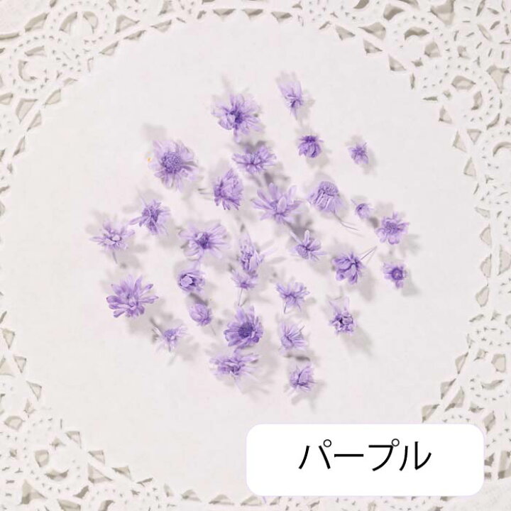 楽天市場 花材 小分け スターフラワー マルセラドライ レジン ドライフラワー レジン用花材 ドライ 材料 素材 ハーバリウム 小さいお花 少量 レジン封入素材 ネイル素材 新色追加 Croccha Shop 楽天市場店