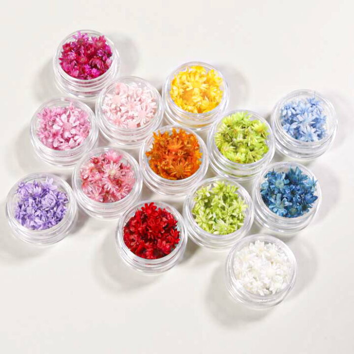 楽天市場 花材 小分け スターフラワー マルセラドライ レジン ドライフラワー レジン用花材 ドライ 材料 素材 ハーバリウム 小さいお花 少量 レジン封入素材 ネイル素材 新色追加 Croccha Shop 楽天市場店