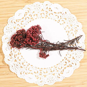 yԍށzhCt[ w CXt[ x g؂₷  W XbO [X u[P A}TVF Lh f   n[oE WANZT[ n