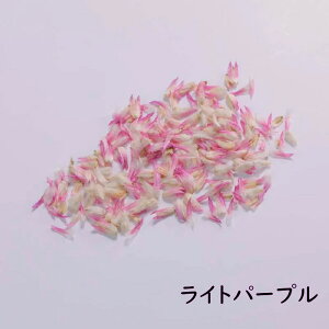 yhCt[ Wz  NbVt[ oCJ[ f Wpԍ W hCt[ vU[uh Ԃт nhCh WNtg ԍ  V