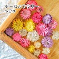 ☆楽天スーパーSALE☆【小分け】厳選チーゼルフラワー ピンクミックス 花 花材 木の実 レジン コーティン…