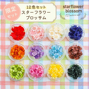 hCt[ ԍ X^[t[ ubT12FZbg P[X Wf g؂₷  lCi WANZT[ nhCh  VRf p[c ANZT[