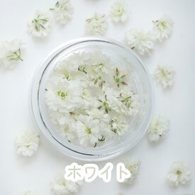 【楽天スーパーSALE】【花材】かすみ草 つぼみ ドライフラワー 小分け ケース入り 全17色 レジン封入 ふわふわ お花 くすみカラー ニュアンス 大人女子 ミックス フラワー レジンクラフト アレンジ 小花 キャンドル 素材 春 アクセサリー