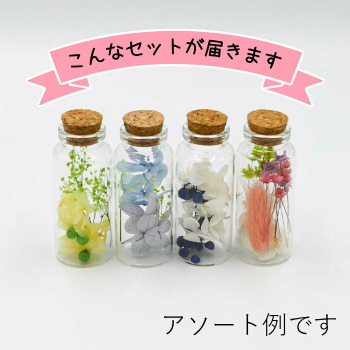 750円 送料無料 激安 お買い得 キ゛フト ハーバリウム コーニカルボトルM Herbariumu ４種類