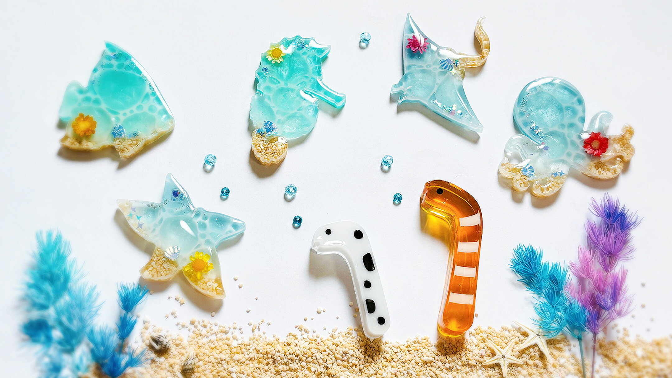 海塗りチンアナゴ
