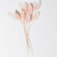 【半額！楽天スーパーSALE】 小分け ハニーテール エンジェルピンク ドライフラワー 花材 ピンク ハーバ…