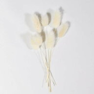 【半額！楽天スーパーSALE】 小分け ハニーテール ドライフラワー 花材 ホワイト ハーバリウム リース ス…