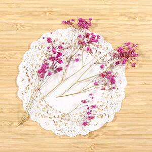 yzJX~EI[o[^CEhC / zbgsN vU[uht[ n[oE W CeA [X@nhCh JX~ ݑ@Bef A}TVF X