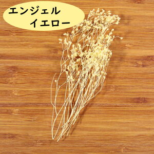 yzIyVX[p[SALEz  hCt[ ԍ \jA vU[uh XbO u[P vU ԑ [X AW CeA CeAt[ fBXvC AW