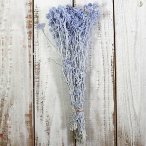 ドライフラワー 青の人気商品 通販 価格比較 価格 Com