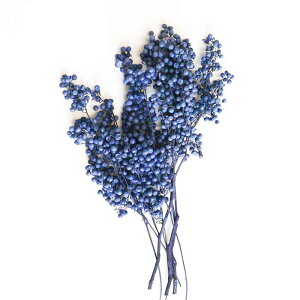 ドライフラワー 青 インテリア 家具の人気商品 通販 価格比較 価格 Com