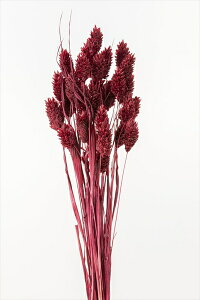 ワックス フラワーの人気商品 通販 価格比較 価格 Com
