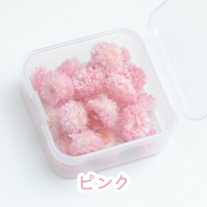 C[e hCt[ 20 P[X  hCt[ Wpԍ hC ޗ f n[oE@ԁ@ ANZT[ Wf nhCh wAANZT