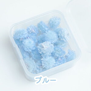 C[e hCt[ 20 P[X  hCt[ Wpԍ hC ޗ f n[oE@ԁ@ ANZT[ Wf nhCh wAANZT